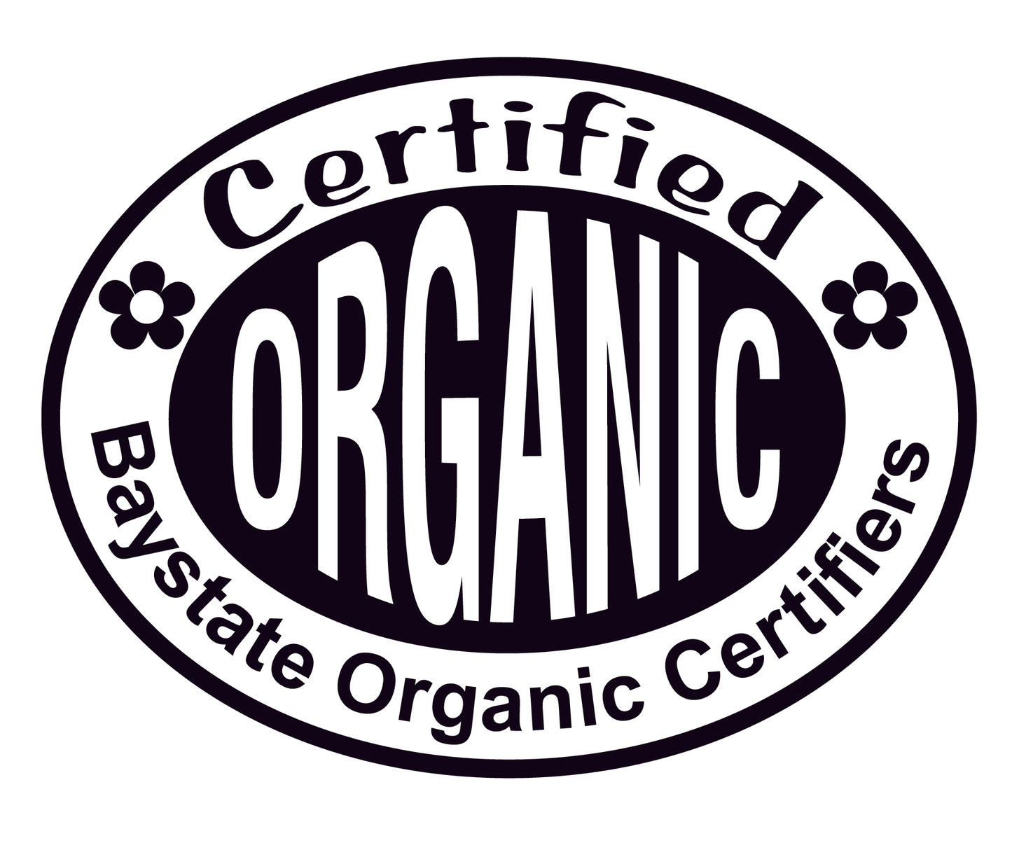 Kale, Scarlet Kale Plant in 2.5 Inch Pot (Brassica oleracea, VAR Acephala) - Organic Live Winter Greens Crop Plant