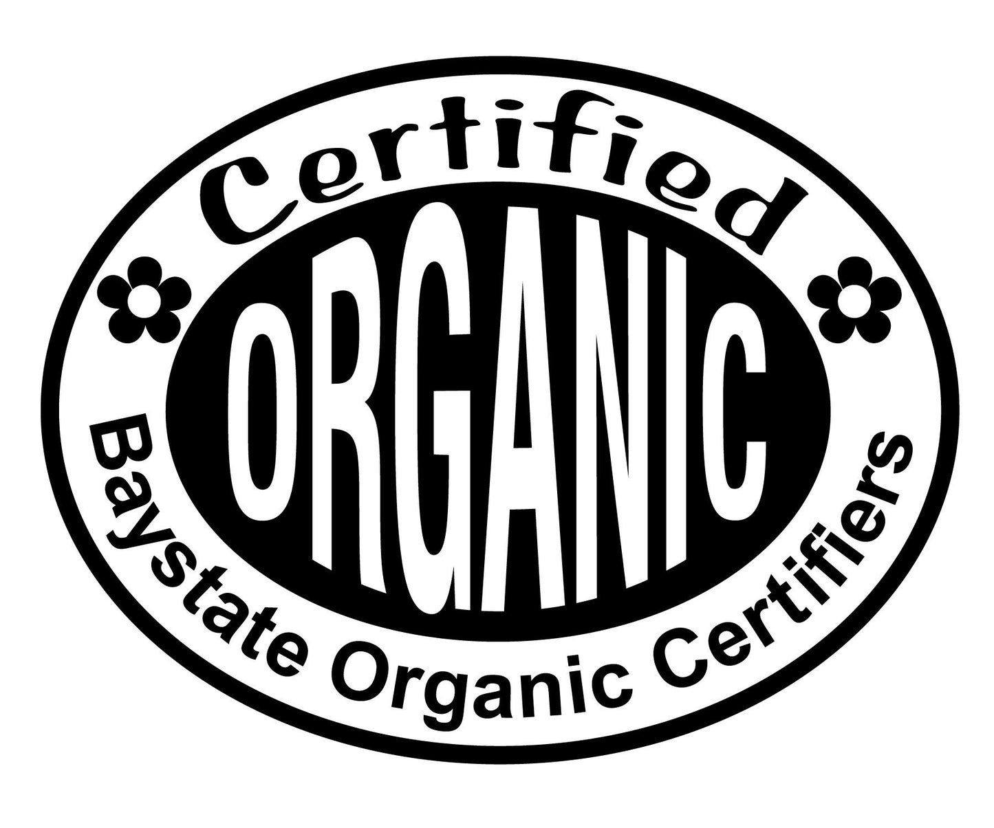 Greater Burdock (Arctium lappa) Organic Live Herb Plant in 2.5-inch Pot