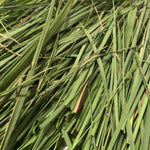 Lemon Grass, Dried Herb - 1 oz or 4 oz