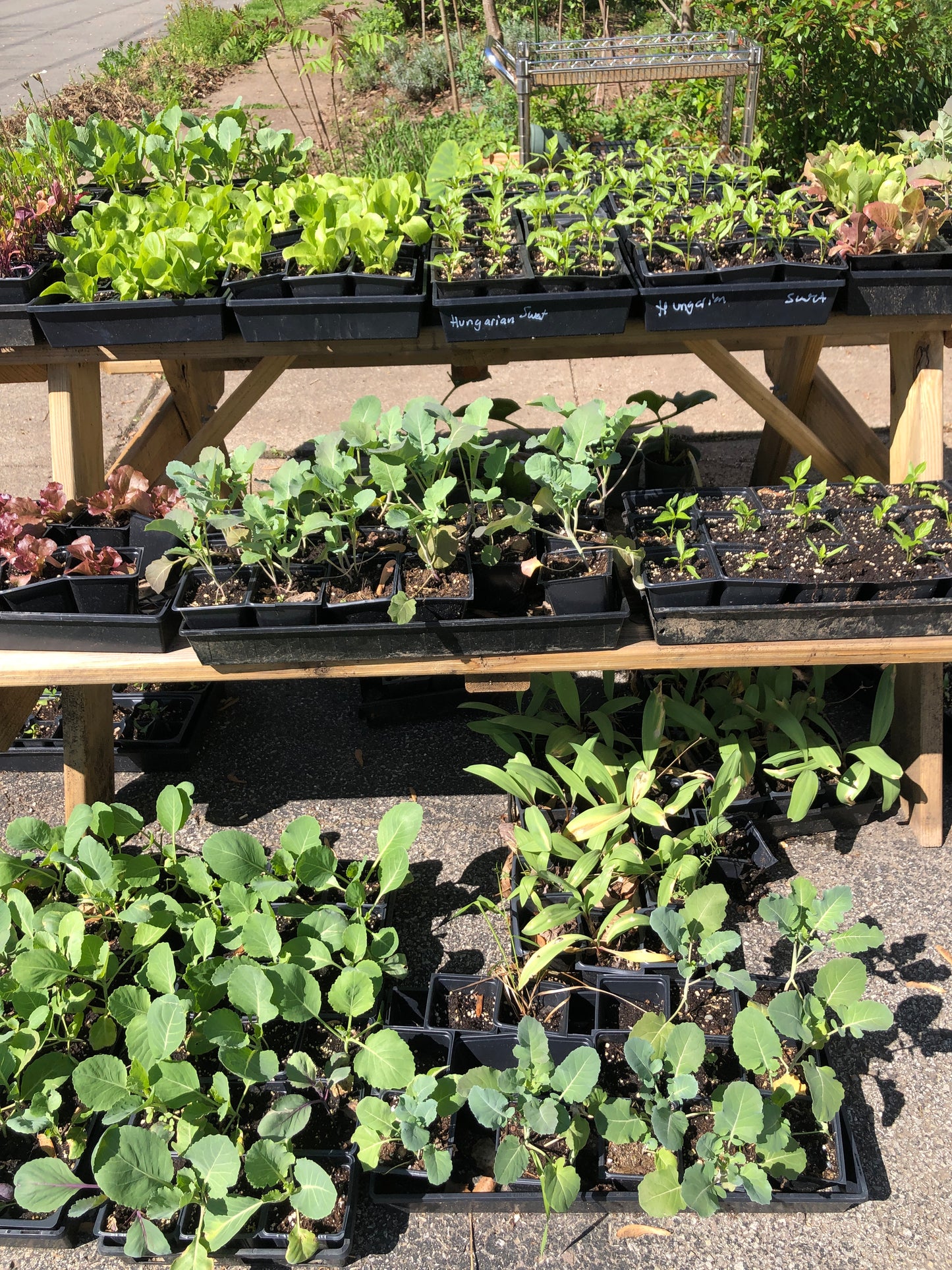 PAY WHAT YOU CAN Community Farm Support – Donation