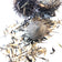 ORGANIC Echinacea Pupurea Seeds (Echinacea purpurea) 75 Seeds (0.5 grams)