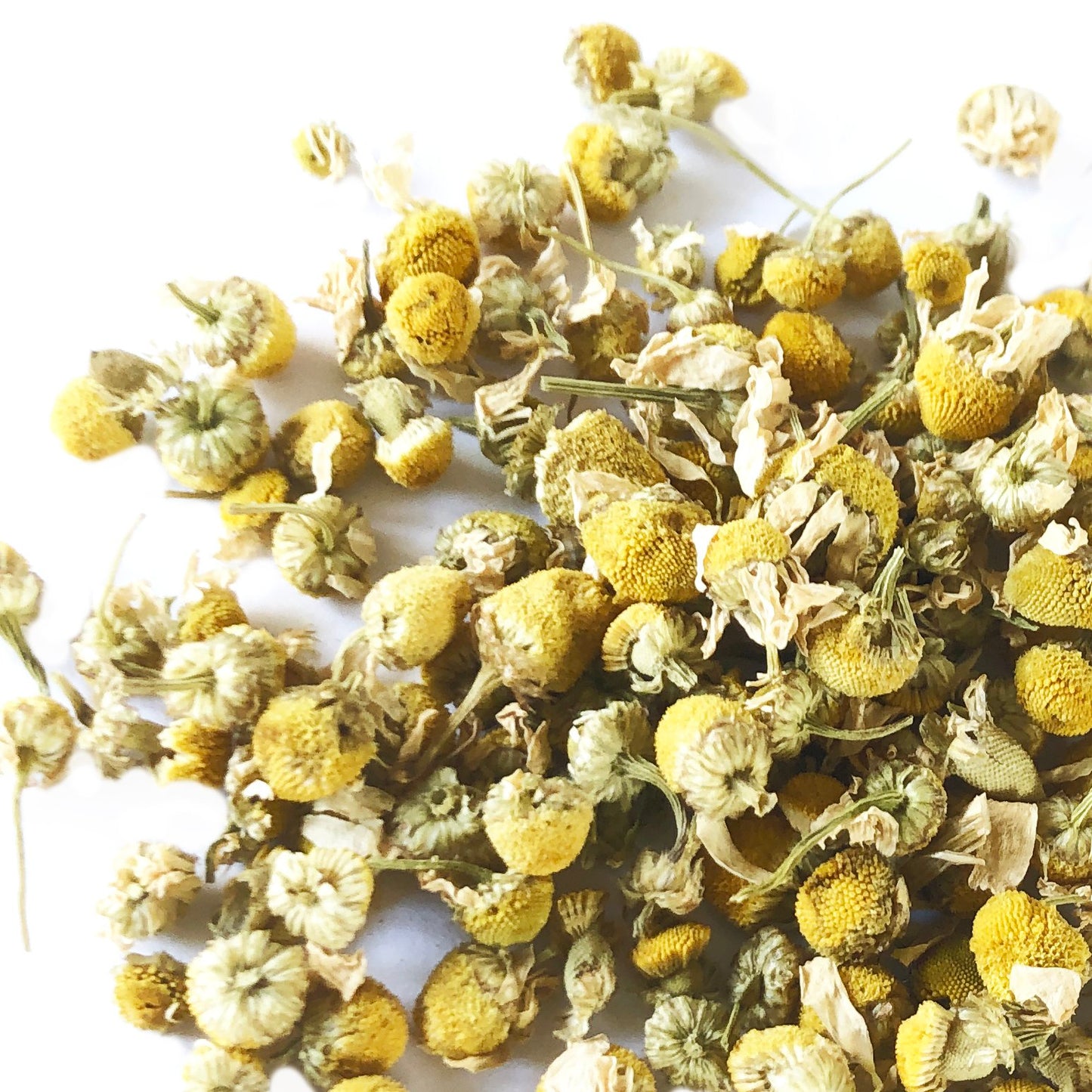 Chamomile, German, Dried Flowers.