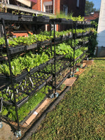 PAY WHAT YOU CAN Community Farm Support – Donation