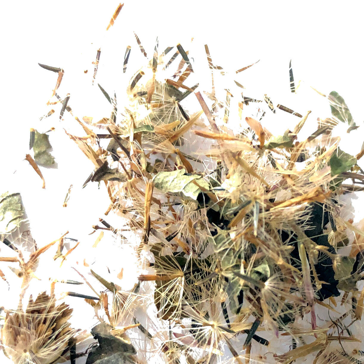 A close-up of Smoke Camp Crafts' dried Joe Pye Weed herb shows scattered seeds, stems, and leaves on a bright white background. Wispy filaments radiate from the delicate seeds. Available in 1 oz or 4 oz packs.