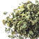 Lobelia Leaf, Dried Herb - 1 oz or 4 oz