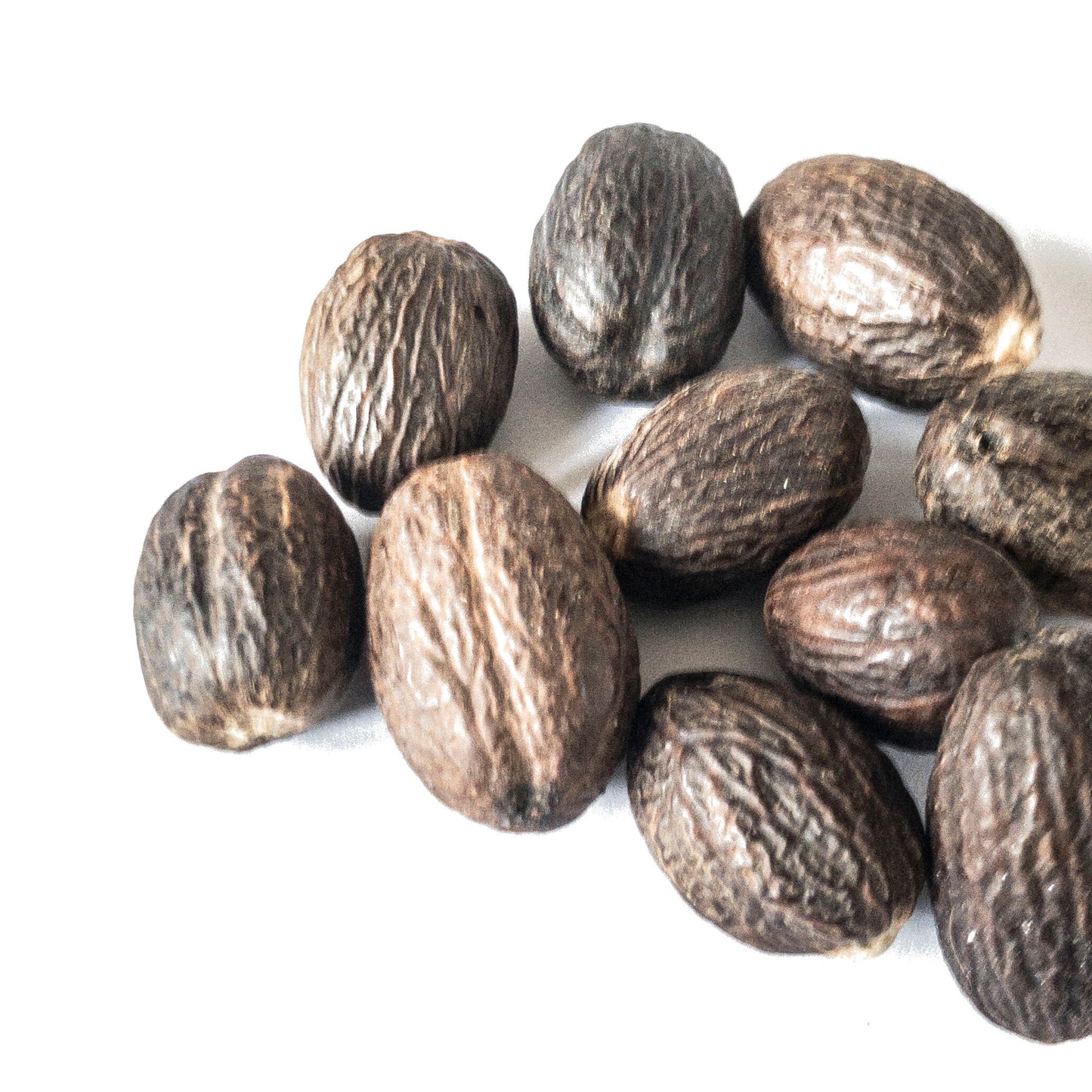 Nutmeg (Myristica fragrans) Whole, 1 oz or 4 oz