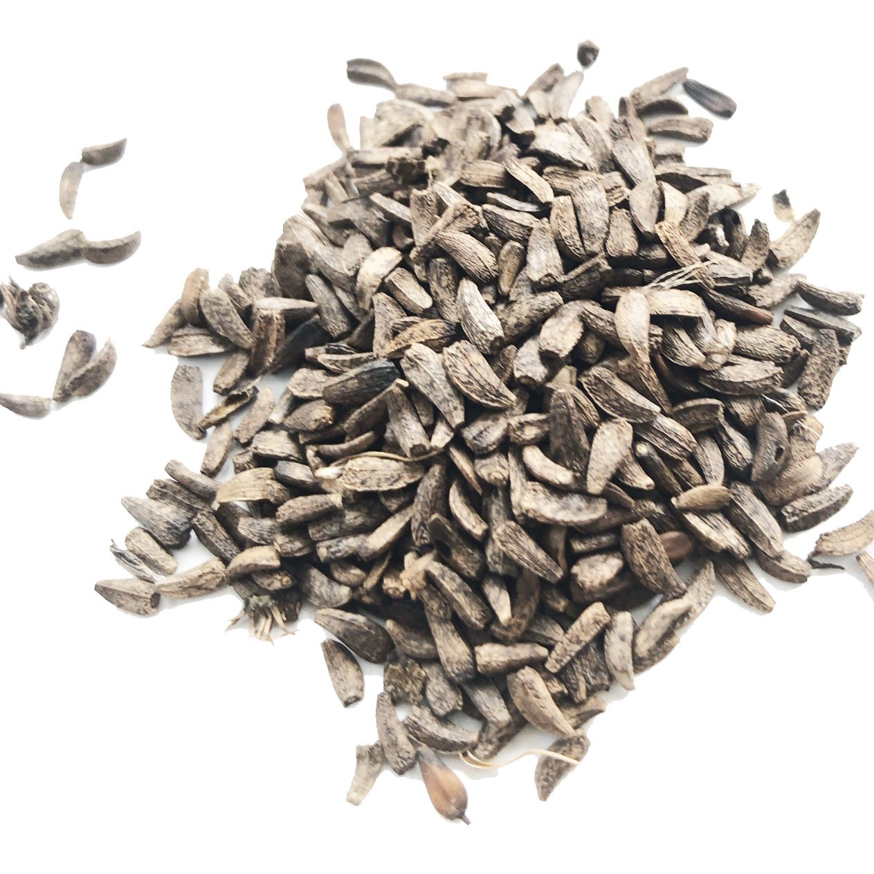 the great burdock plants seeds Burdock Seeds (Arctium lappa) 100 Seeds (1 grams)