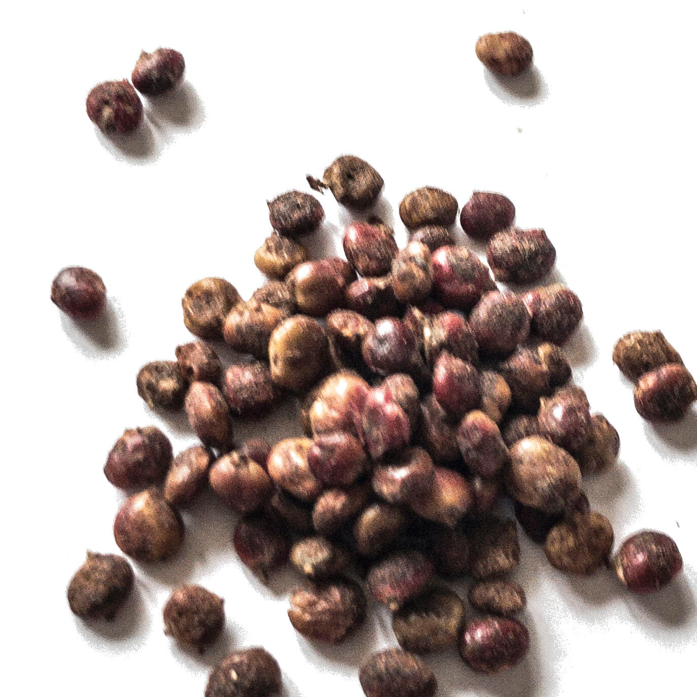 Smoke Camp Crafts' Dried Sumac Berries (1 oz or 4 oz) are small, round, brown and reddish seeds, scattered on a white surface.