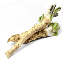 Organic Horseradish Roots - 4 oz for Eating or Planting - Make your own horseradish sauce