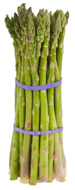 Asparagus Plant, Mary Washington