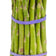 Asparagus Plant, Mary Washington