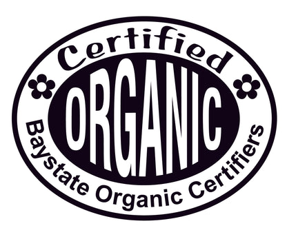 Kale, Scarlet Kale Plant in 2.5 Inch Pot (Brassica oleracea, VAR Acephala) - Organic Live Winter Greens Crop Plant