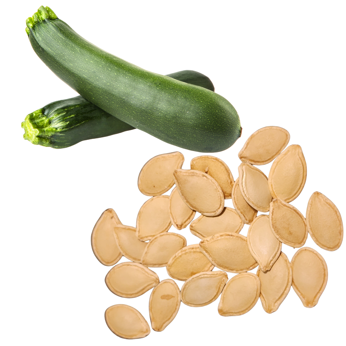 Two whole zucchinis and a packet of Smoke Camp Crafts Zucchini, Black Beauty (Cucurbita pepo) 50 Organic Seeds (3 grams) are displayed on a white background—a prolific, easy-to-grow summer squash.