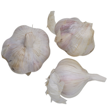 Garlic, California Late Softneck (Allium sativum) Three (3) Organic Bulbs for Eating or Planting by Smoke Camp Crafts - Great Garlic Flavor