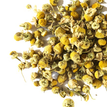 Chamomile, German (Matricaria chamomilla) Organic Plant in 2.5-inch Pot - Annual Chamomile, Tea Herb