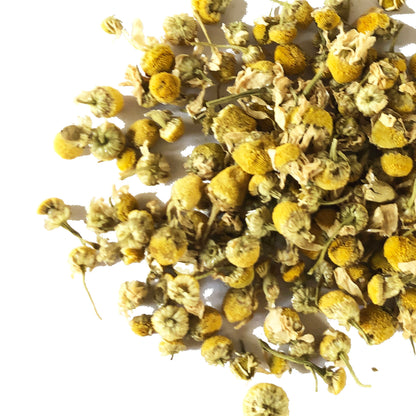 Chamomile, German (Matricaria chamomilla) Organic Plant in 2.5-inch Pot - Annual Chamomile, Tea Herb