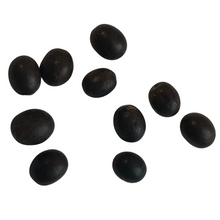 Ten organic Red Canna Seeds (Canna x generalis) by Smoke Camp Crafts are arranged on a white background.