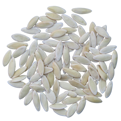A pile of oval, pale beige pumpkin seeds scattered on a white background, next to a packet of Smoke Camp Crafts Cucumber, Straight Eight seeds (Cucumis sativus), 100 seeds (3 grams).