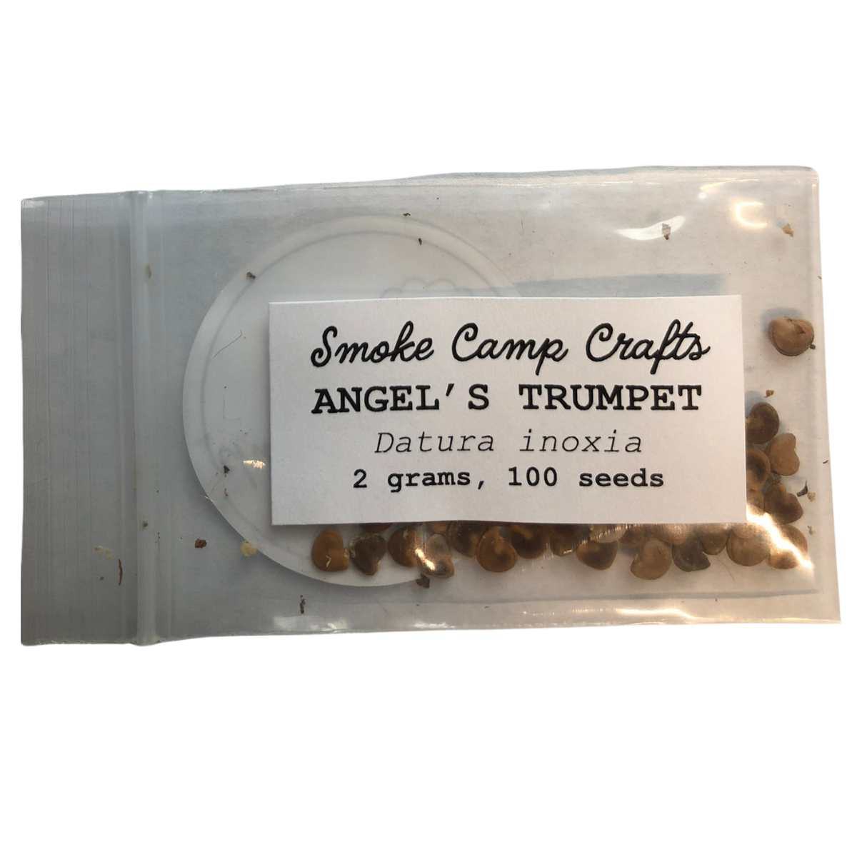 Angel's Trumpet (Datura inoxia) 100 Organic Seeds (2 grams) by Smoke Camp Crafts - Moonflower, Thorn Apple