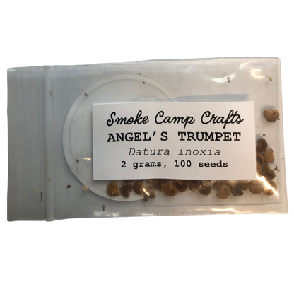 Angel's Trumpet (Datura inoxia) 100 Organic Seeds (2 grams) by Smoke Camp Crafts - Moonflower, Thorn Apple