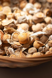 Elephant Garlic (Allium ampeloprasum) Bulbils (10 Count) - Easy-to-Grow Edible Perennial - Broadleaf Wild Leek - Wild Leek
