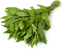 Epazote Seeds (Dysphania ambrosioides) 2000 Organic Seeds (1 g) by Smoke Camp Crafts - Jesuit's Tea, payqu, Chenopodium ambrosiodes
