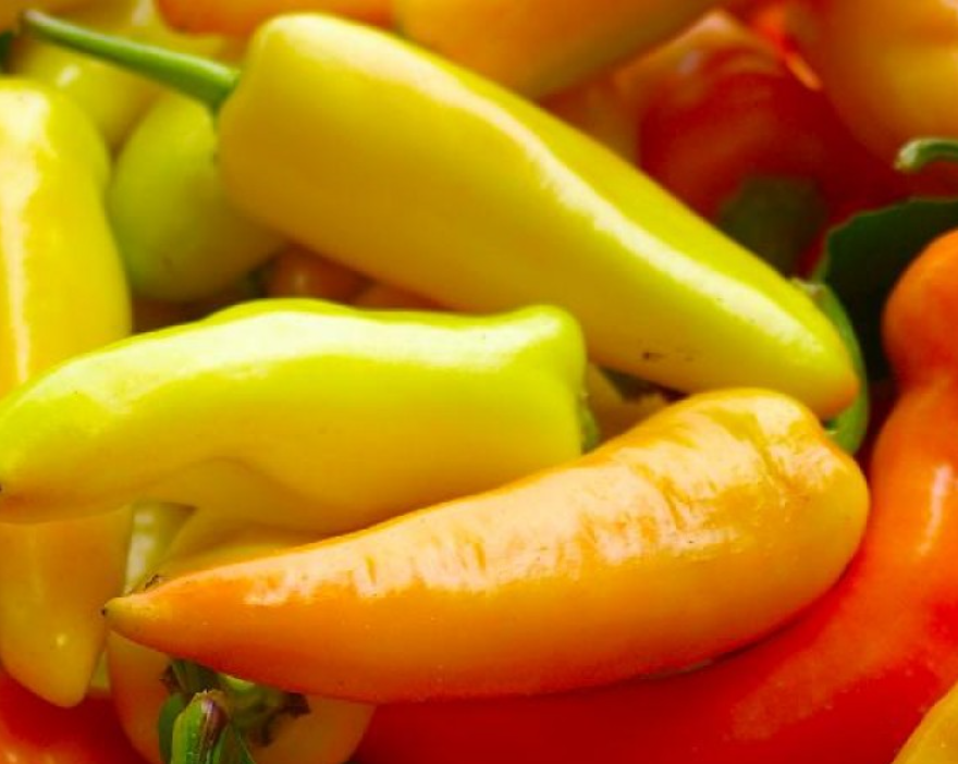 Sweet Pepper, Hungarian Sweet Wax (Capsicum annuum) Plant in a 2.5-inch Pot by Smoke Camp Crafts - Perfect for Container Gardens