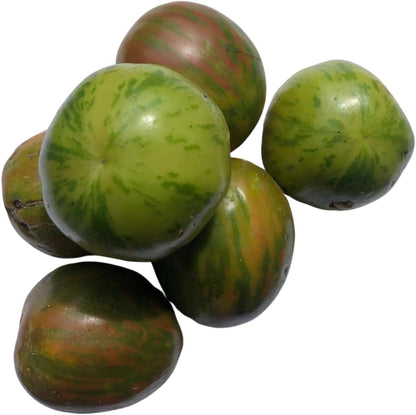 Tomato, Green Zebra (Solanum lycopersicum) Organic Plant in 2.5-inch Pot by Smoke Camp Crafts - Open-Pollinated Heirloom Tomato