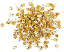 Chamomile, German (Matricaria recutita) 1000 Organic seeds (0.1 grams) - Annual Chamomile, Blue Chamomile, Mayweed