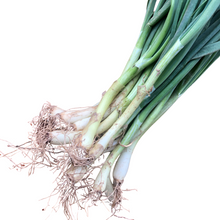 Fresh Organic Green Onions, 1 Bunch by Smoke Camp Crafts