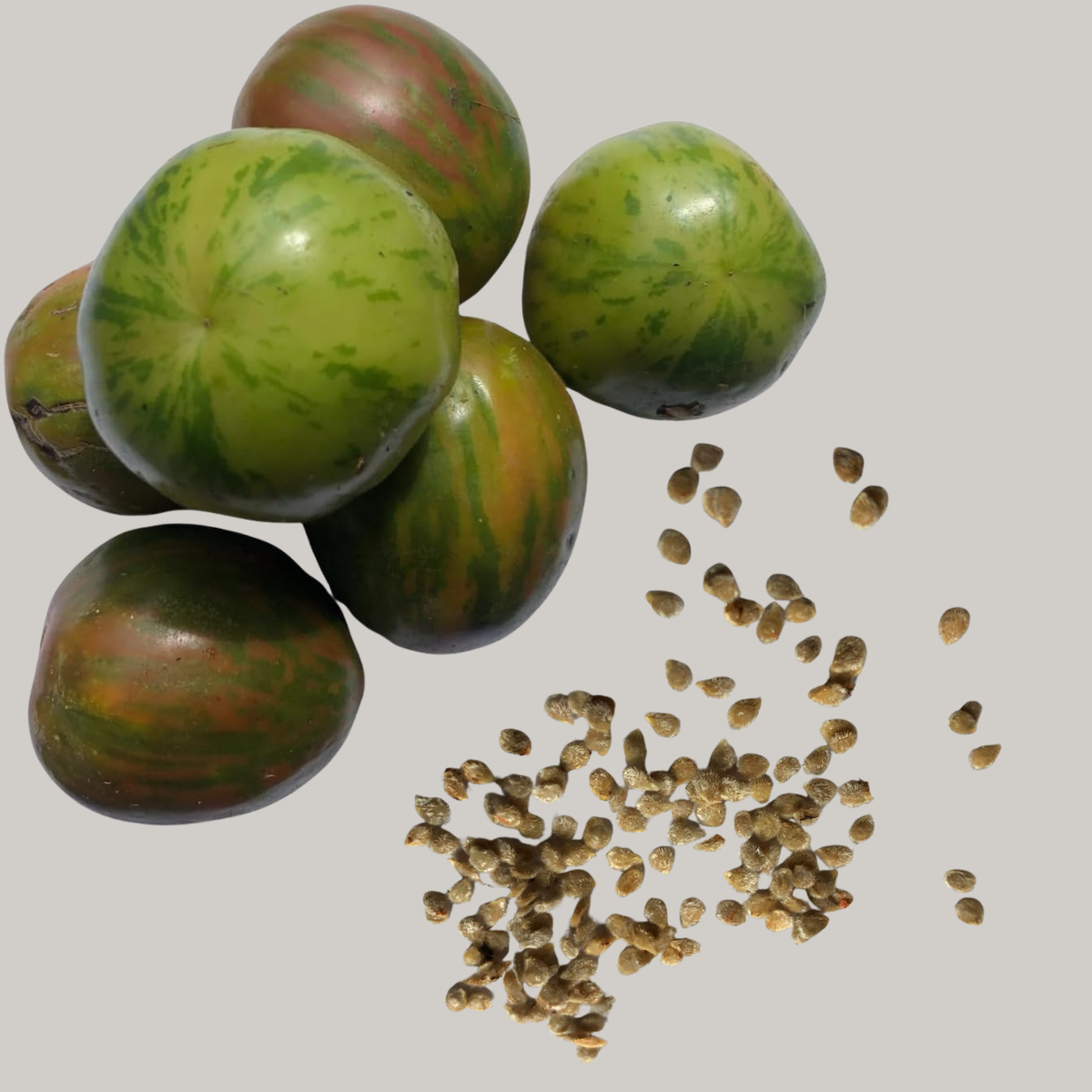 Green Zebra Tomato Seeds (Solanum lycopersicum) 150 Organic Seeds (0.5 g) - Unique Open-Pollinated Green Tomato