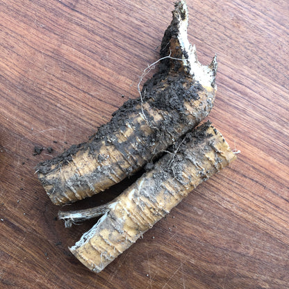 Smoke Camp Crafts Organic Horseradish Roots (4 oz) are ideal for eating or planting—perfect for making your own horseradish sauce or growing fresh roots at home.
