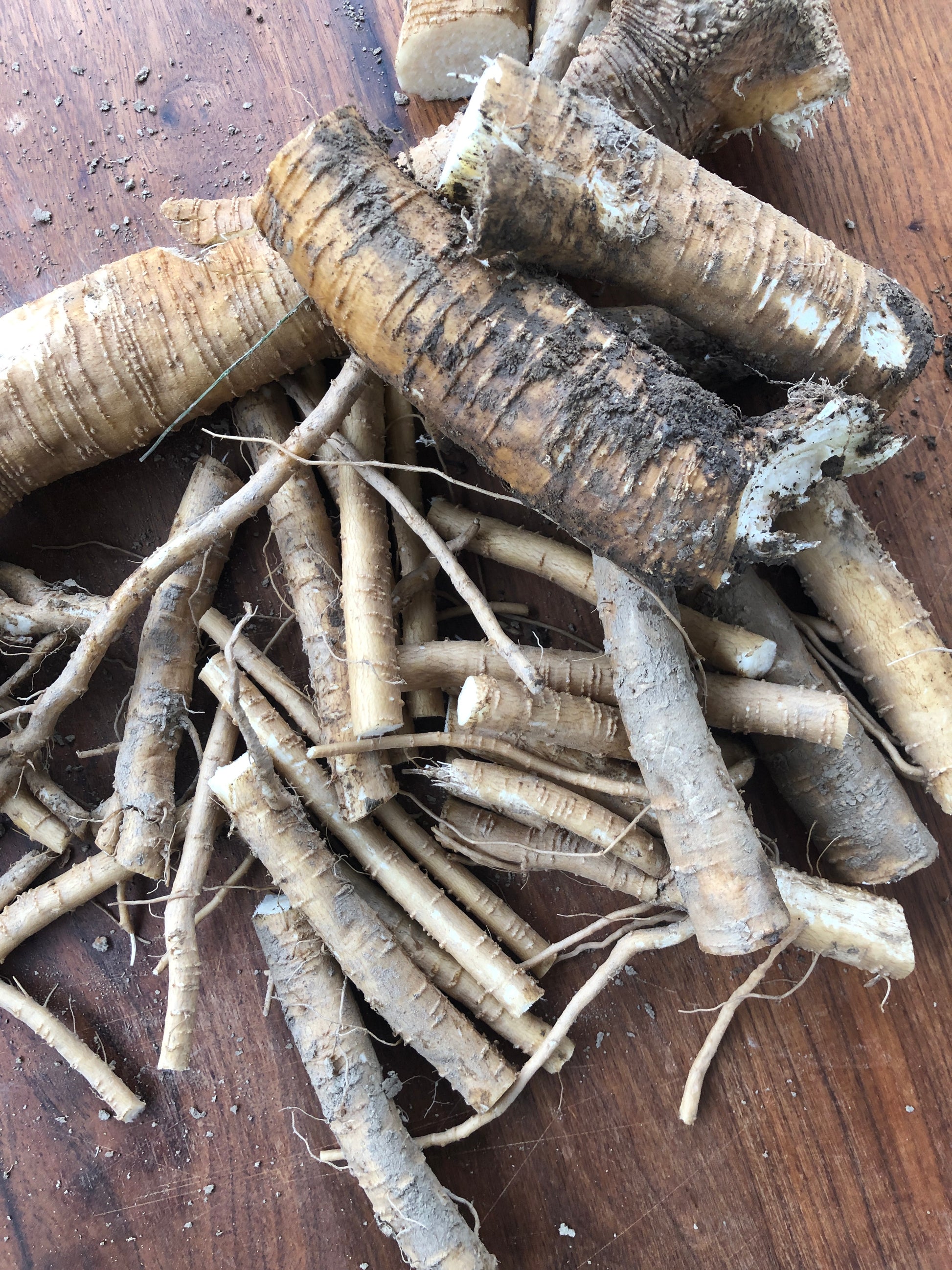 Smoke Camp Crafts Organic Horseradish Roots—4 oz for eating or planting—feature thick and thin roots with earthy, brown skin. Perfect for making your own horseradish sauce, these fresh roots come ready to use or plant.