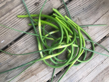 Fresh Garlic Scapes, One Bunch by Smoke Camp Crafts
