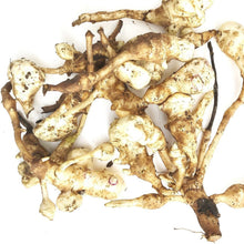 Smoke Camp Crafts' Organic Jerusalem Artichokes (1 lb), also called sunchokes (Helianthus tuberosus), are native, edible tubers with knobby light brown skins—perfect for planting or eating. Low-glycemic and unique, they're nutritious and freshly harvested.