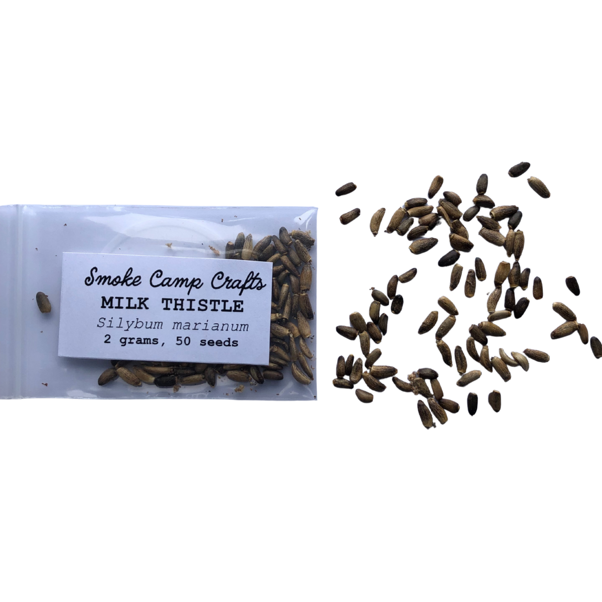 Organic Milk Thistle Seeds (Silybum marianum) 50 Seeds (2 grams) - Blessed Thistle, Holy Thistle, Lady's Thistle - by Smoke Camp Crafts