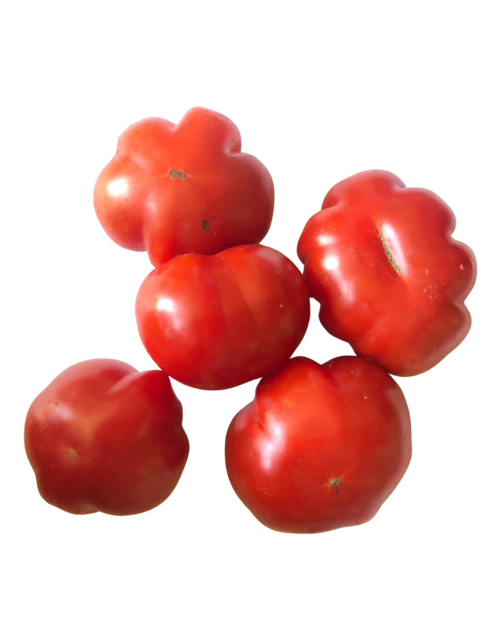 Five red, pleated heirloom cherry tomatoes, grown from Smoke Camp Crafts' organic Mini Wrinkles tomato seeds, are arranged against a white background.