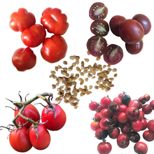 Five groups of mixed-shape red cherry tomatoes, plus a packet of Smoke Camp Crafts’ Cherry Tomato Red Cherry Mix organic seeds (150 seeds/0.5g), are arranged on a white background; some tomatoes are sliced to display their interiors.