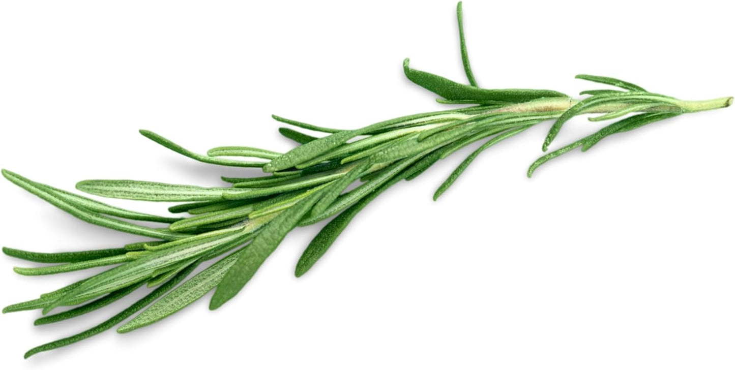 Grow your own aromatic rosemary with Smoke Camp Crafts’ Rosemary (Salvia rosmarinus) 100 Organic Seeds (0.2g)—a perfect culinary herb for decor and cooking.