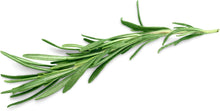 Grow your own aromatic rosemary with Smoke Camp Crafts’ Rosemary (Salvia rosmarinus) 100 Organic Seeds (0.2g)—a perfect culinary herb for decor and cooking.