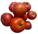 Homestead Tomato Seeds (Solanum lycopersicum) 150 Seeds (0.5 Grams)…