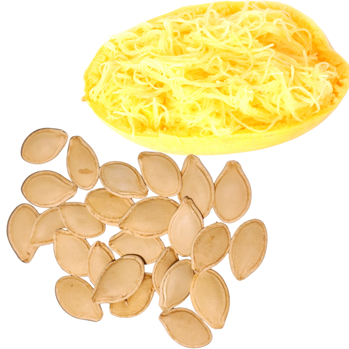 A halved spaghetti squash with yellow, stringy flesh is displayed above a pile of Smoke Camp Crafts’ Squash, Spaghetti (Cucurbita pepo) 30 Organic Seeds (4 grams), Vegetable Spaghetti Winter Squash, on a white background.