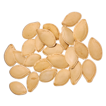 A scattered pile of Smoke Camp Crafts' organic Spaghetti Squash seeds (Cucurbita pepo, 30 seeds/4g) on a white background.