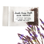 Blue Vervain (Verbena hastata) - 0.1 grams, 100 seeds