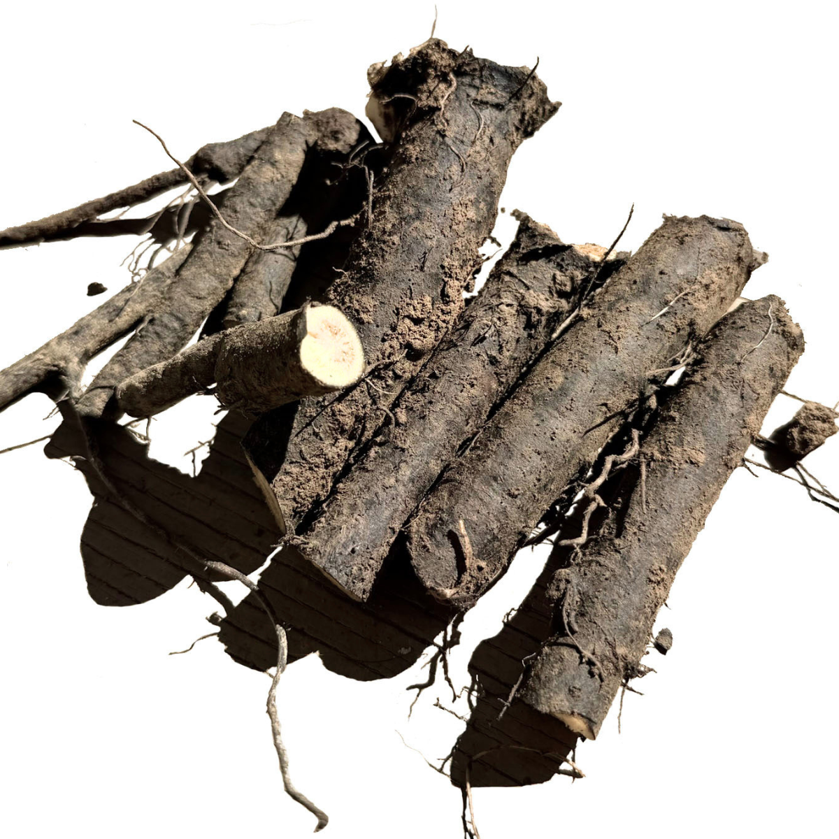 Organic Fresh Comfrey Roots - 4 oz