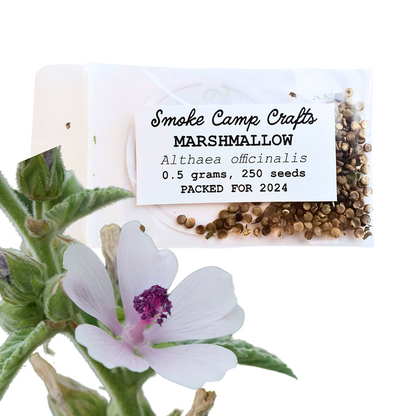 marshmallow plant seeds Marshmallow Seeds (Althaea officinalis) 250 Seeds (0.5 Grams)
