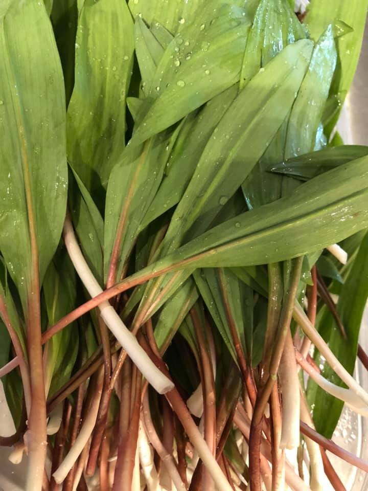 Ramp Jam - Wild Leek Jam 5 oz (142 oz) - An Appalachian Woodland Delight
