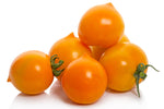 Pointy Goldfish Tomato Seeds (Solanum lycopersicum) - 0.5 grams, 150 seeds