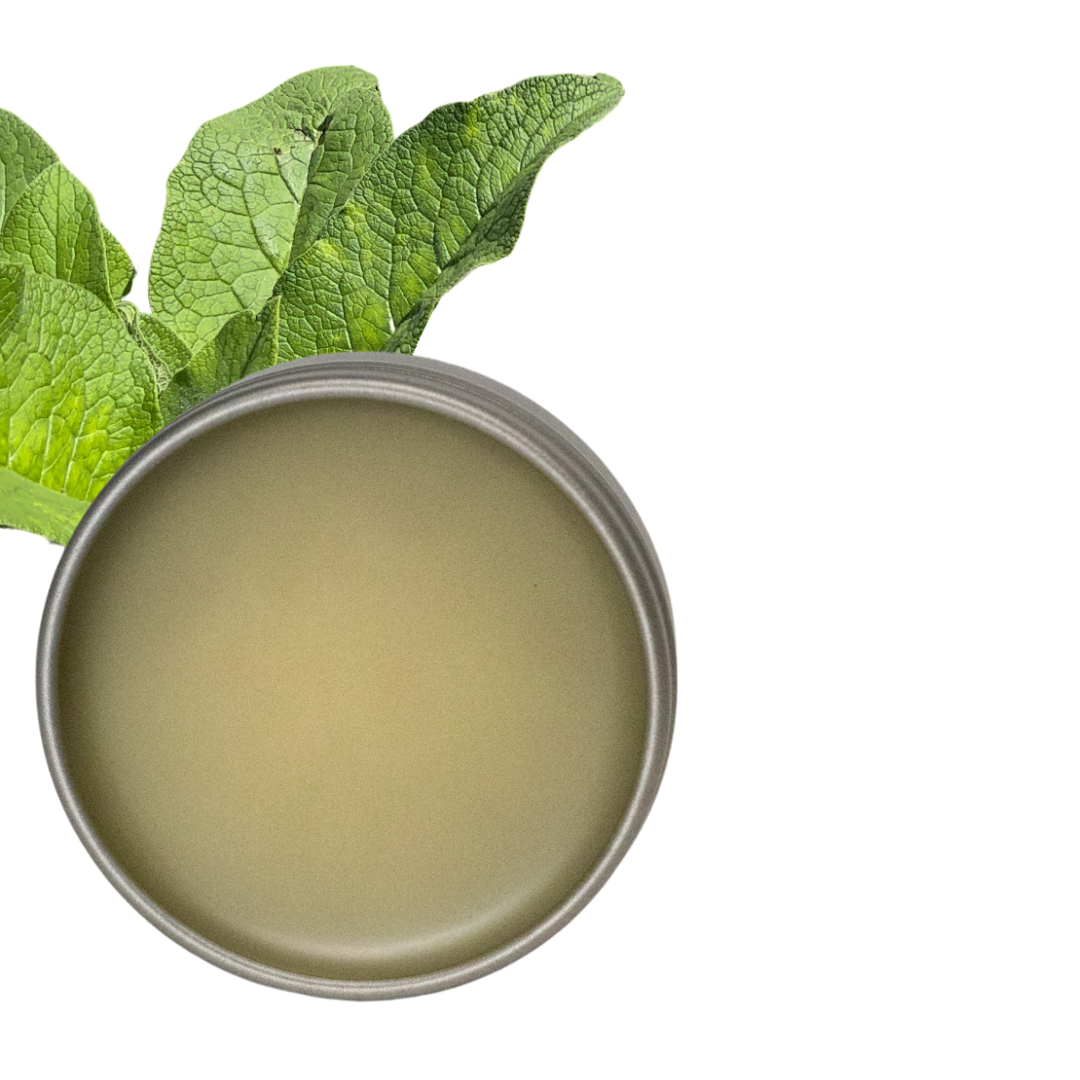 Comfrey Salve - 1 oz