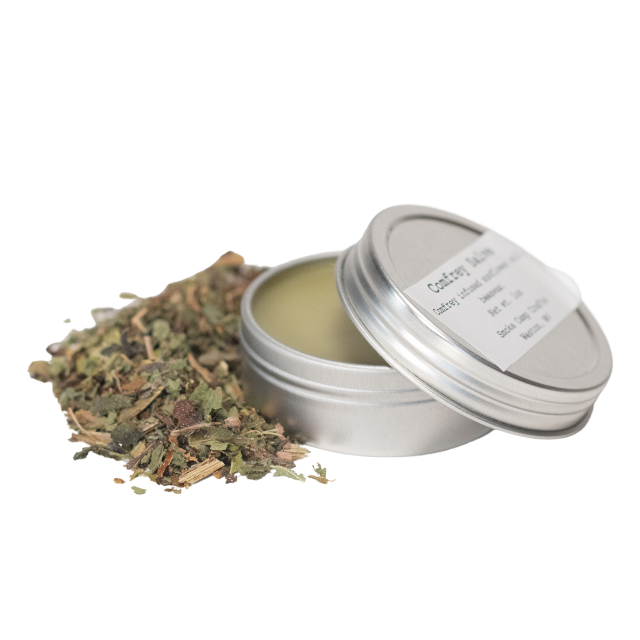 Comfrey Salve - 1 oz